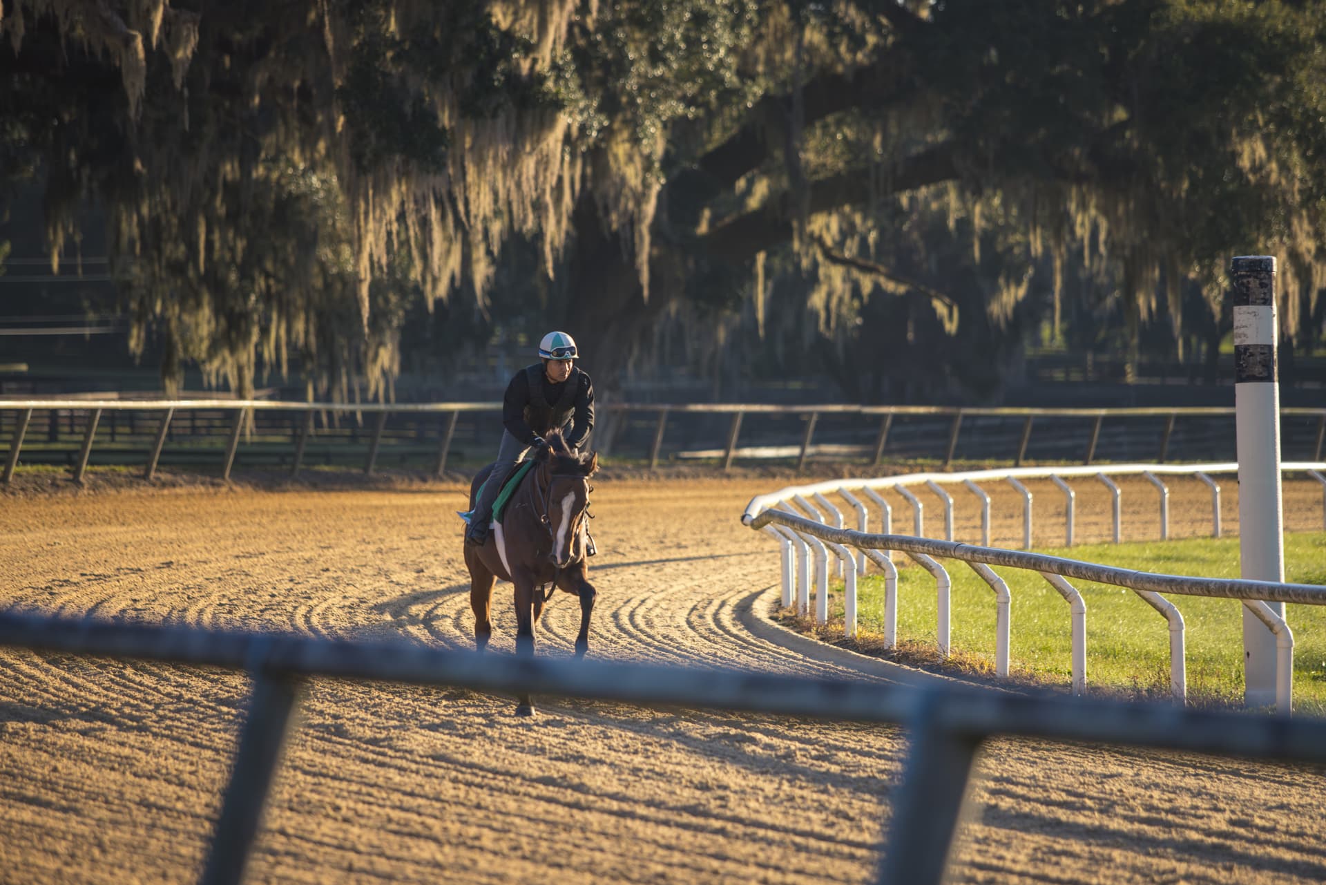 Ocala Stud facilities